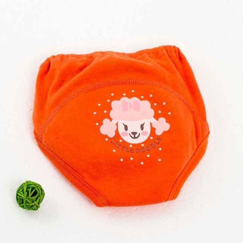 Reusable Nappies Training Pant
